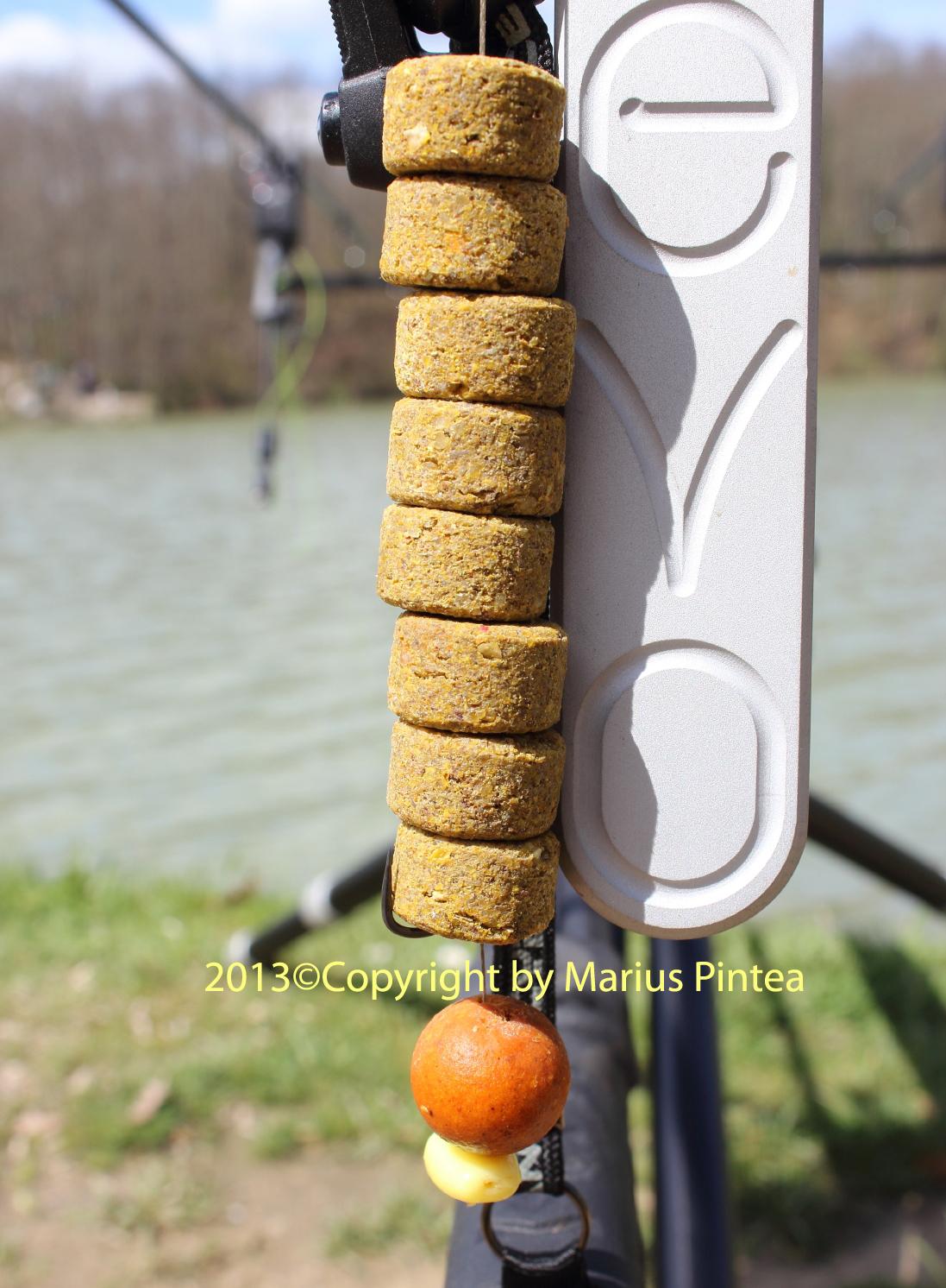 carpfishig -stil de viata - img3940-copia1.jpg